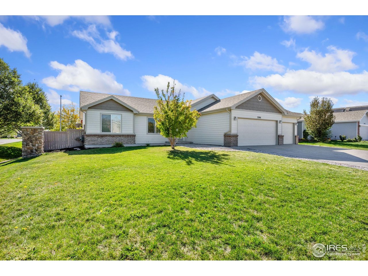 3399 Firewater Ln, Wellington CO 80549