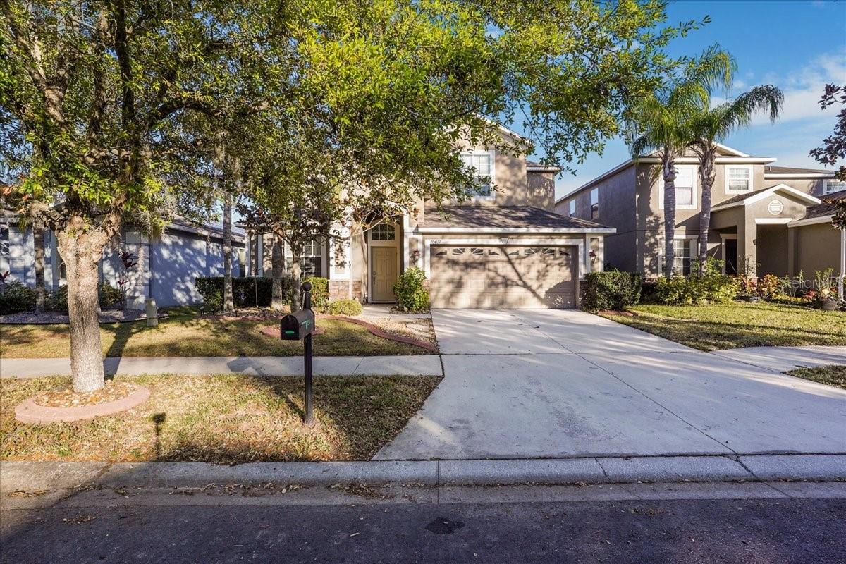 20427 CAROLINA CHERRY CT, Tampa FL 33647