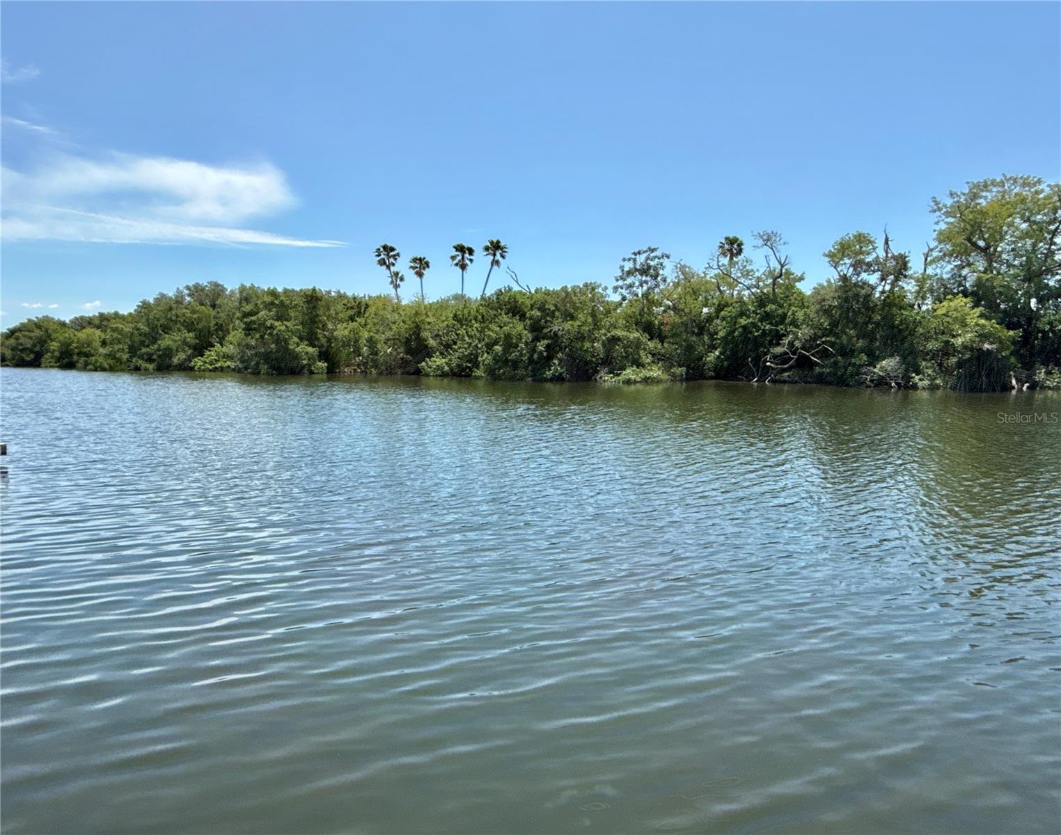 460 MOUNT OAK AVE NE #745, St Petersburg FL 33702