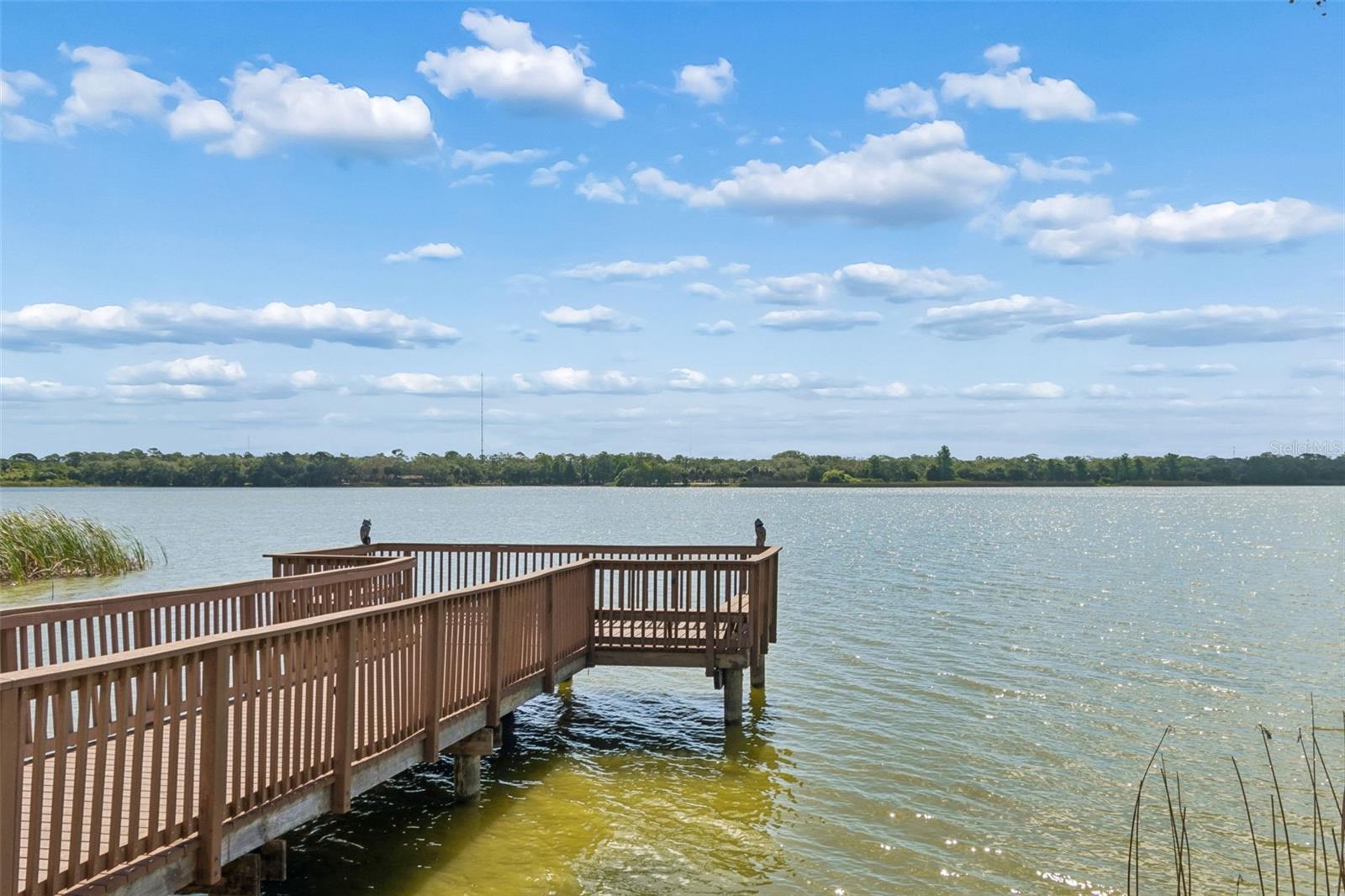 7903 SEMINOLE BLVD #2401, Seminole FL 33772