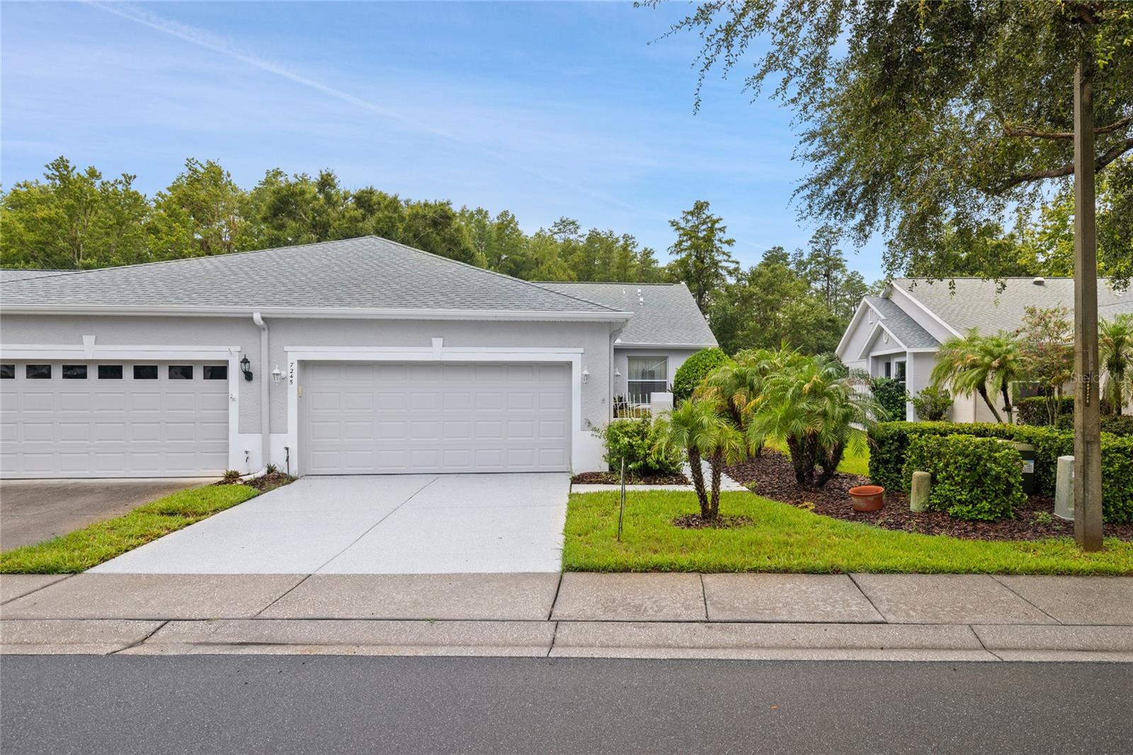 7245 CLEOPATRA DR, Land O Lakes FL 34637