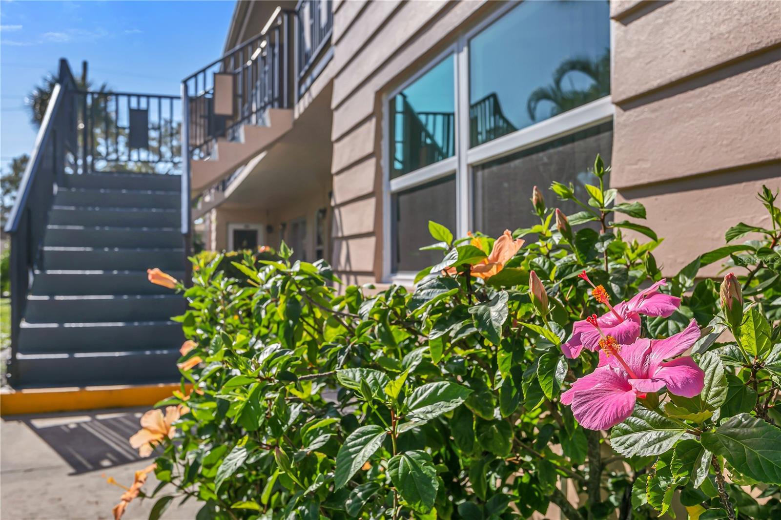 216 36TH AVE N #202B, St Petersburg FL 33704