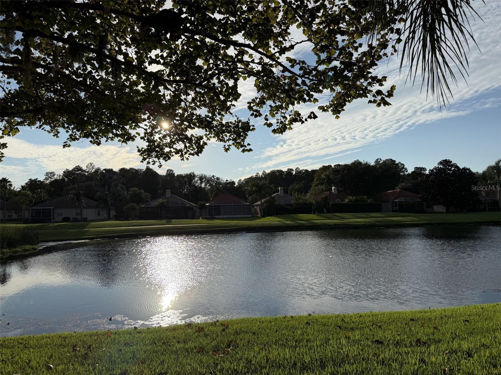 1338 DARTFORD DR, Tarpon Springs FL 34688