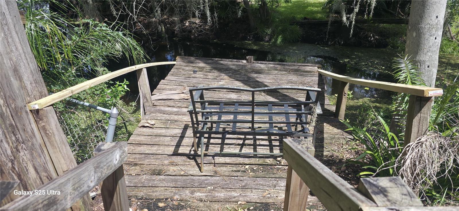 3205 LAUREL DALE DR, Tampa FL 33618