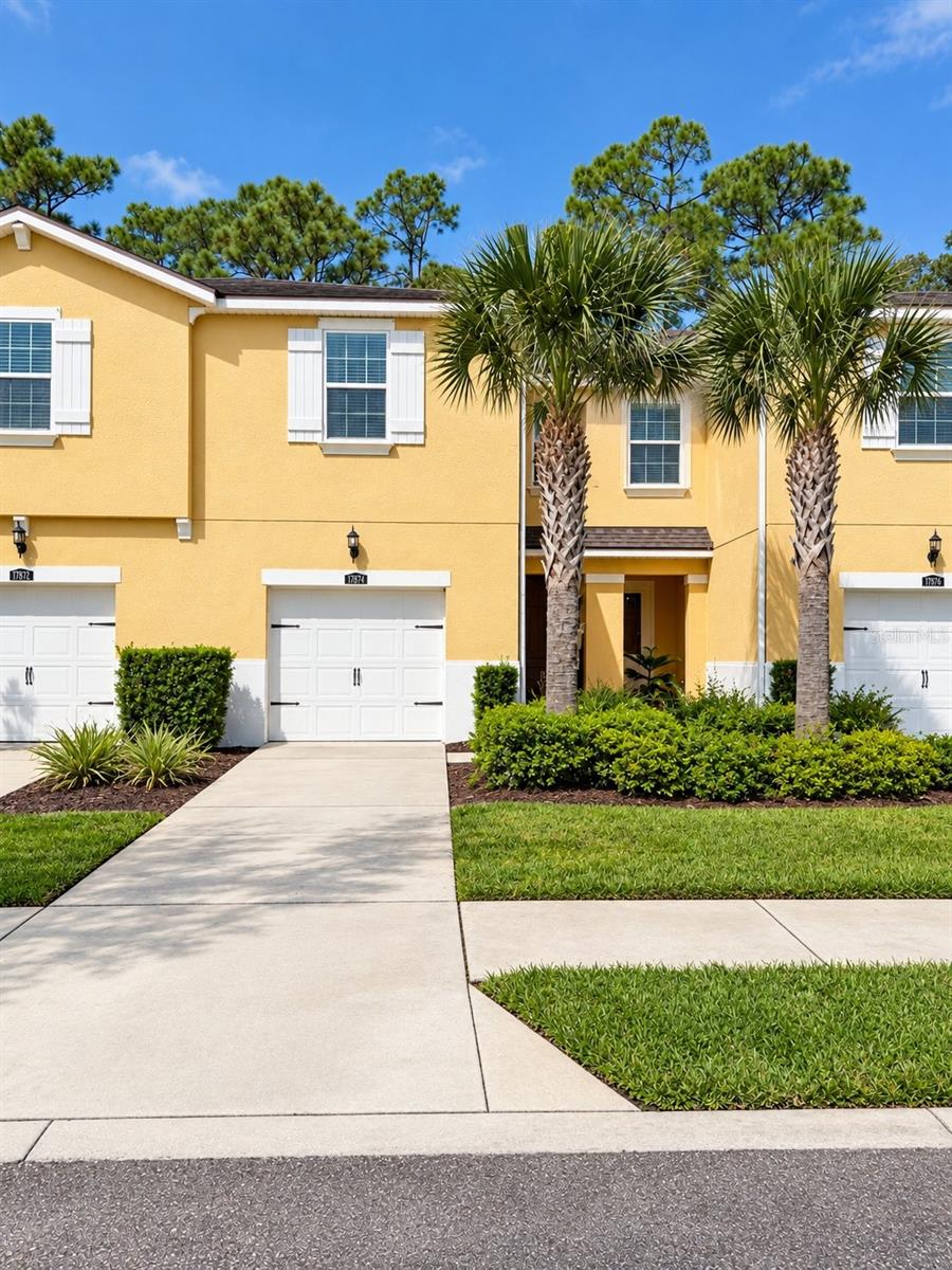 17874 ALTHEA BLUE PL, Lutz FL 33558