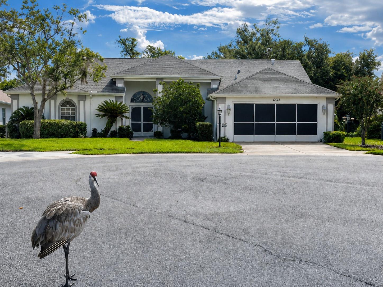 6513 CARDINAL CREST DR, New Port Richey FL 34655
