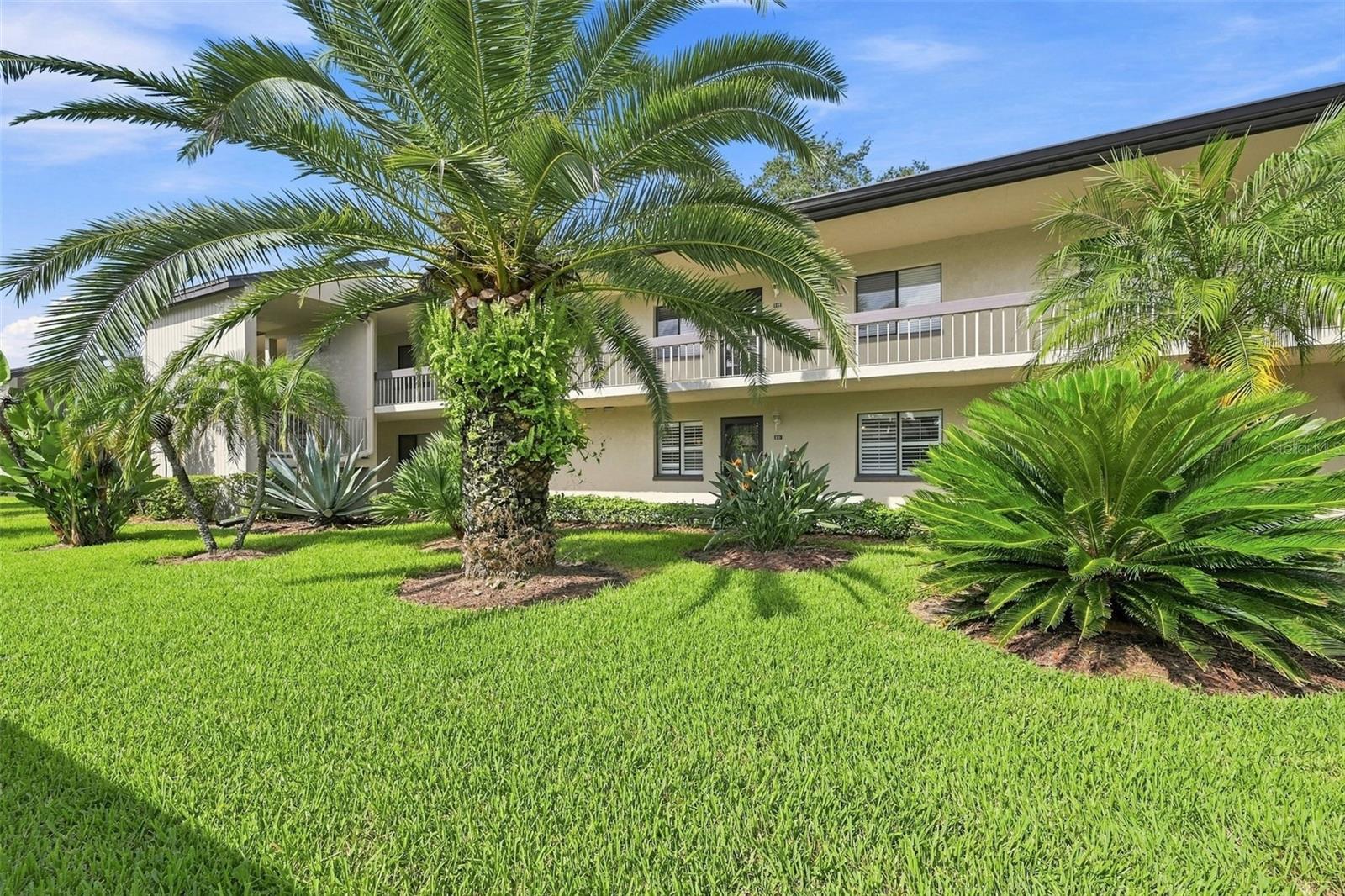 221 NINA WAY #61, Oldsmar FL 34677