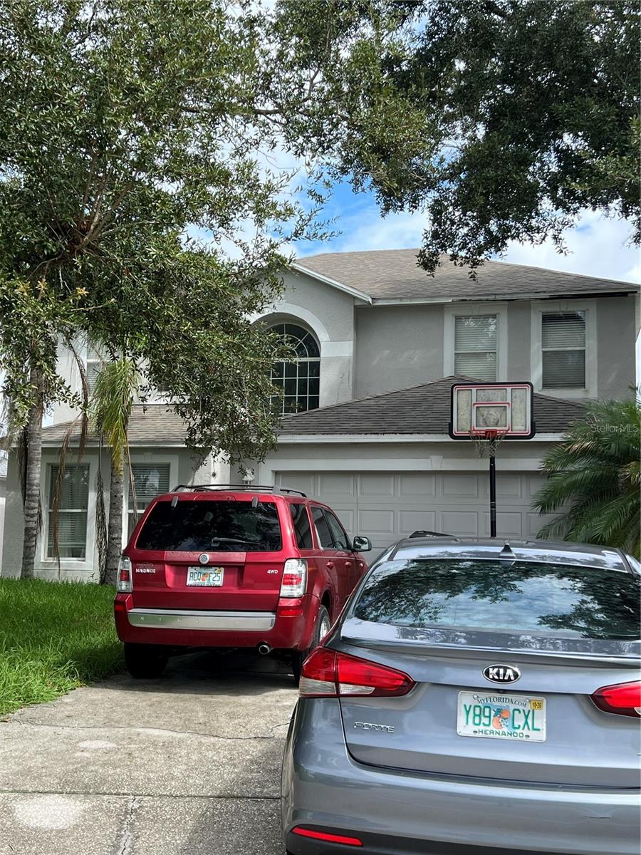 31803 LOCH ALINE DR, Wesley Chapel FL 33545