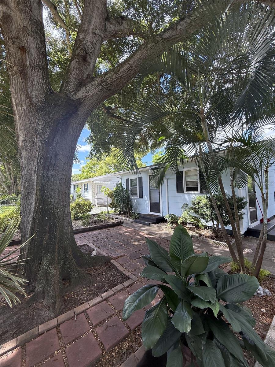 4480 NEWARK ST N, St Petersburg FL 33714