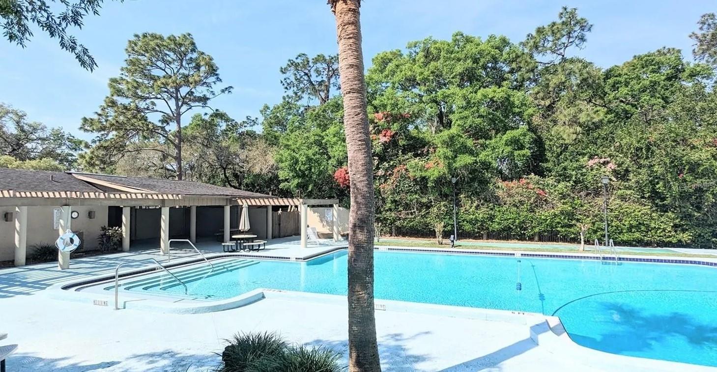 3111 CREEKGLEN CT, Brandon FL 33511