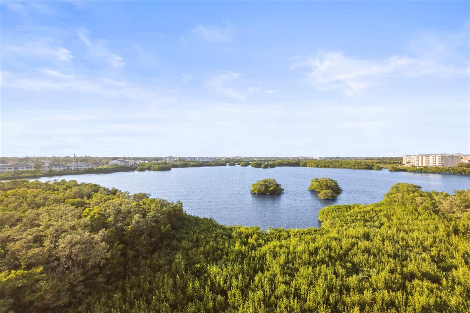 6495 SHORELINE DR #8502, St Petersburg FL 33708
