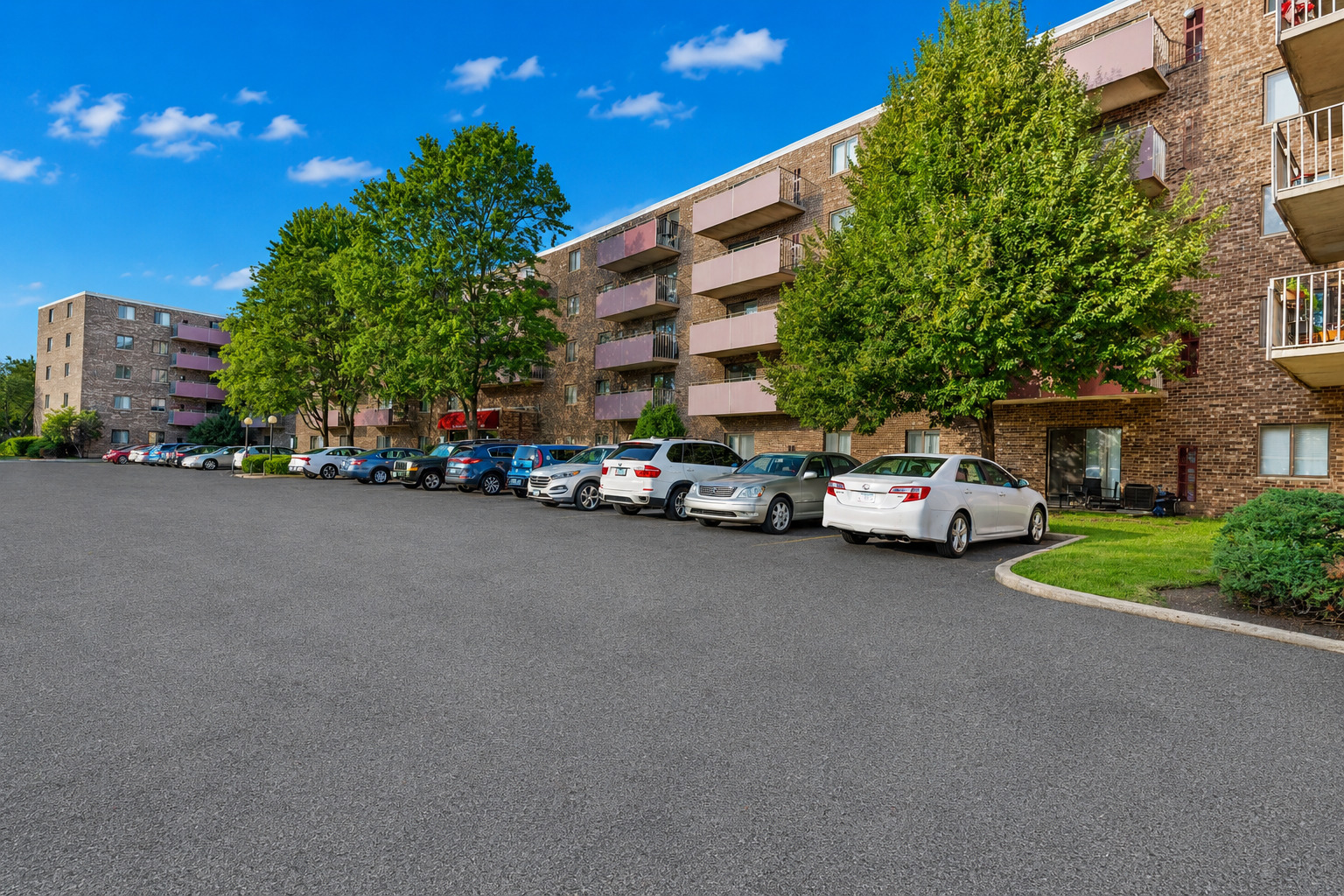 1463 Mercury Drive Unit 219, Schaumburg IL 60193