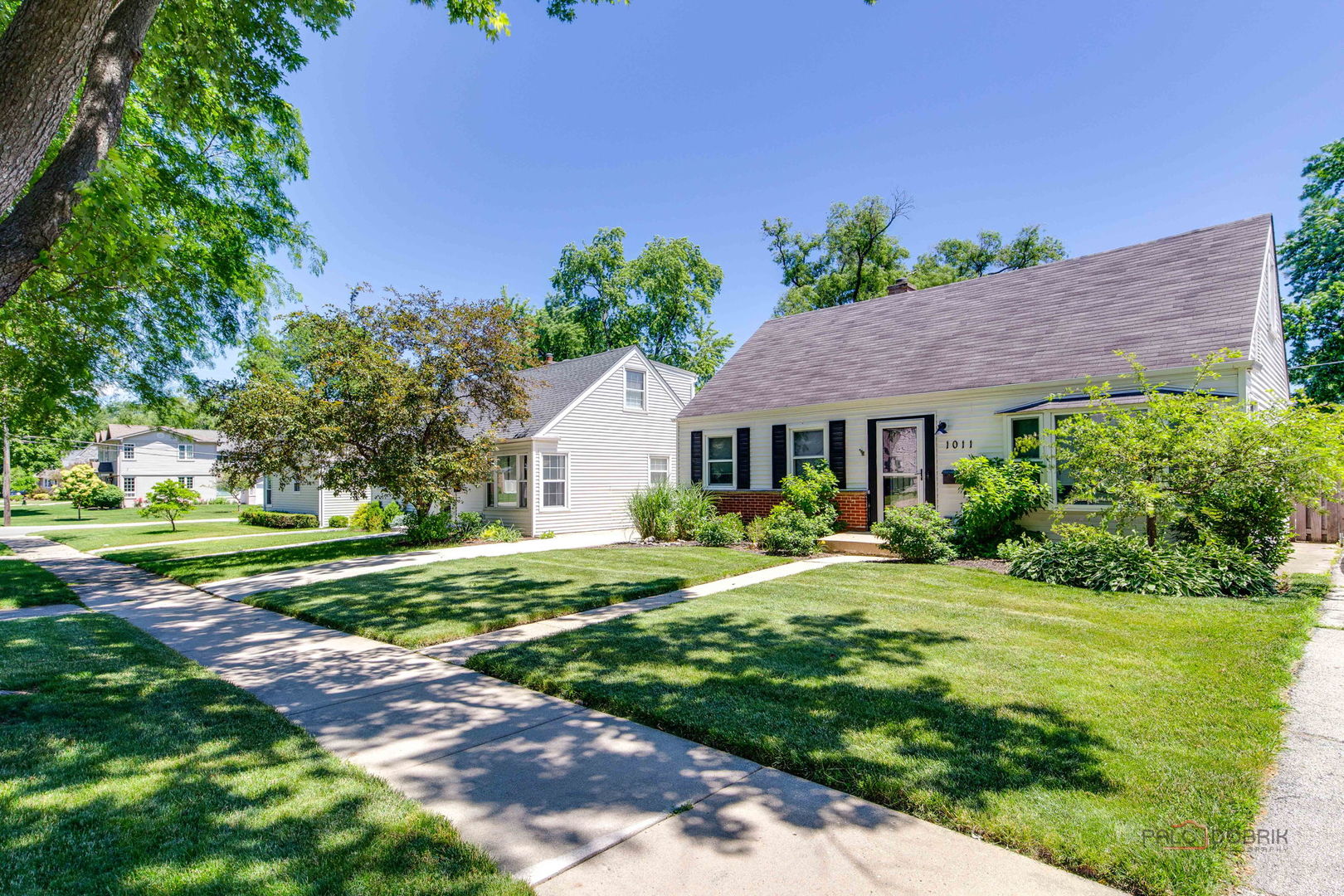 1011 N HADDOW Avenue, Arlington Heights IL 60004
