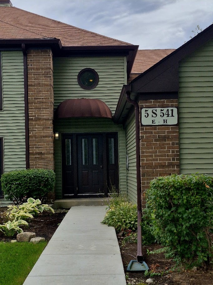 5S541 Paxton Drive Unit G, Naperville IL 60563