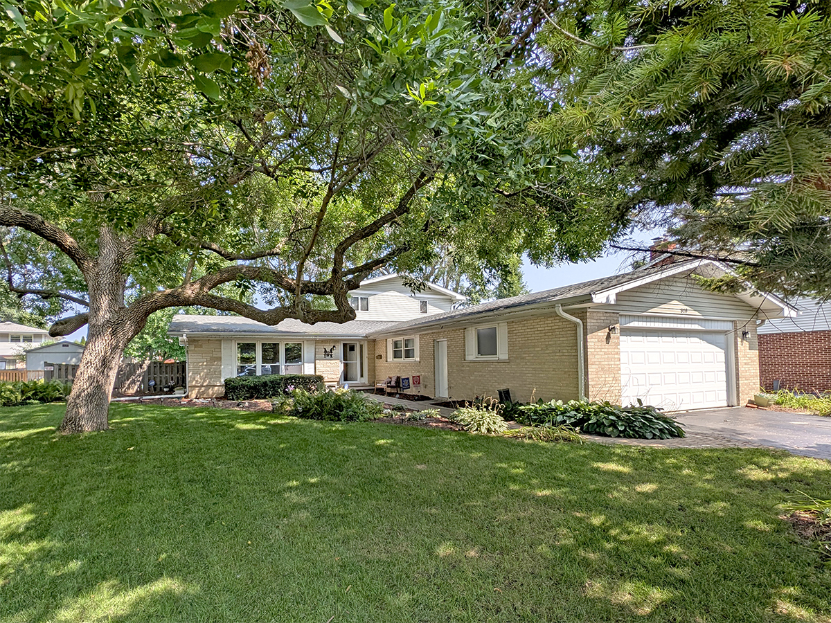 910 E Cherry Lane, Arlington Heights IL 60004