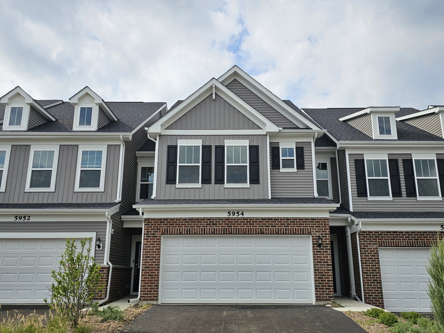 5954 Hawkweed Drive Unit 0, Naperville IL 60564