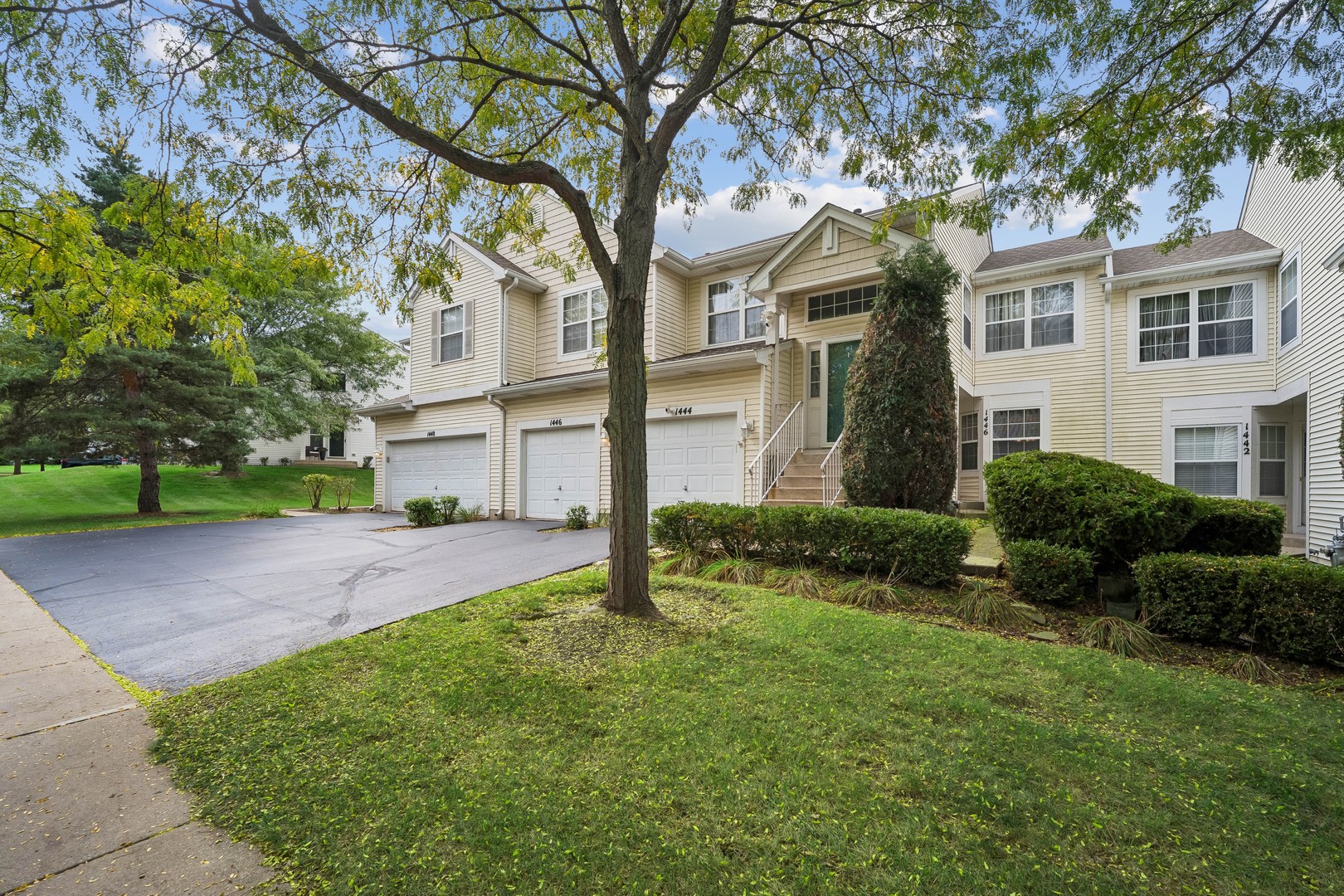 1446 Meadowsedge Lane, Carpentersville IL 60110