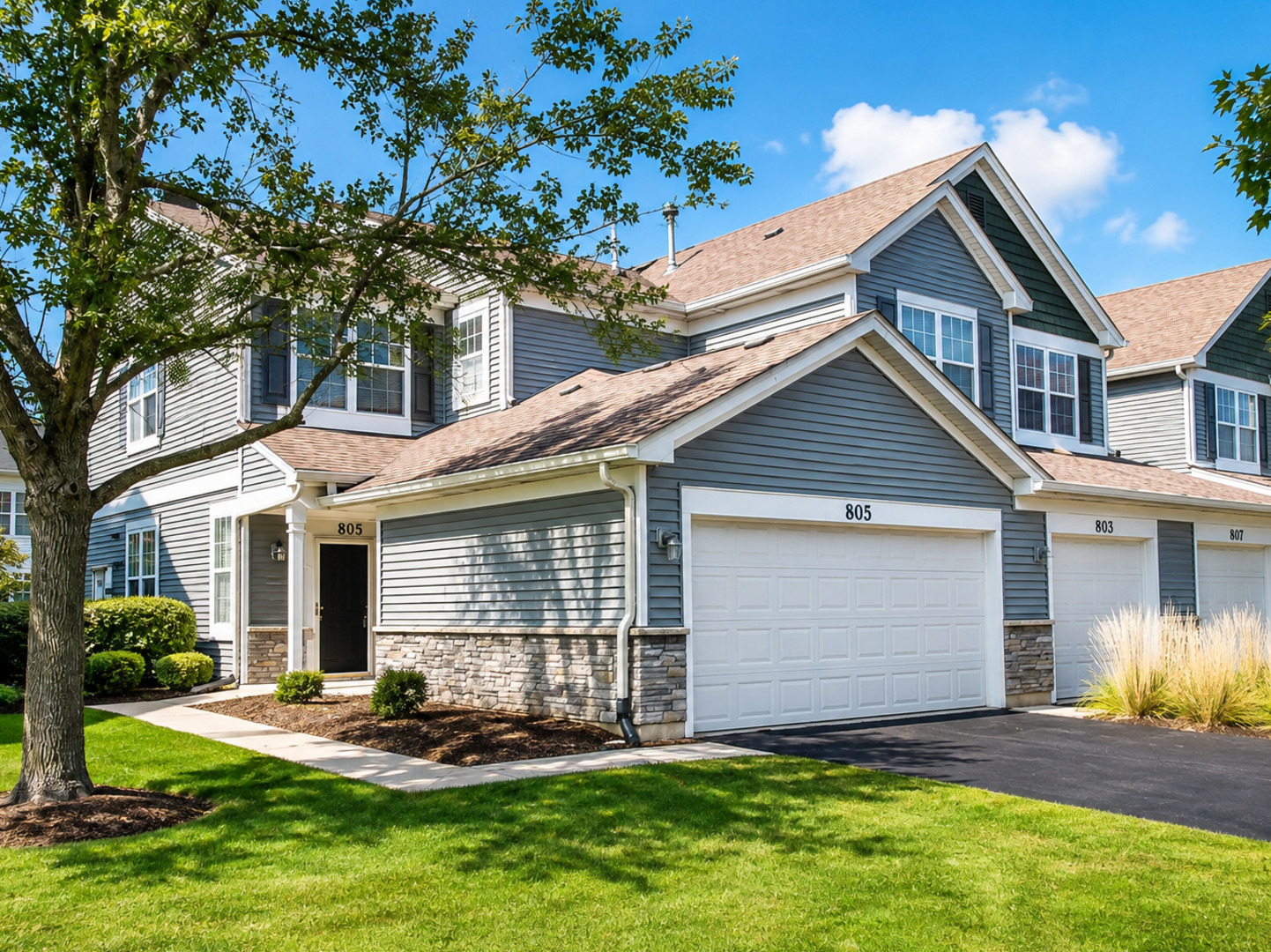 805 Genesee Drive, Naperville IL 60563