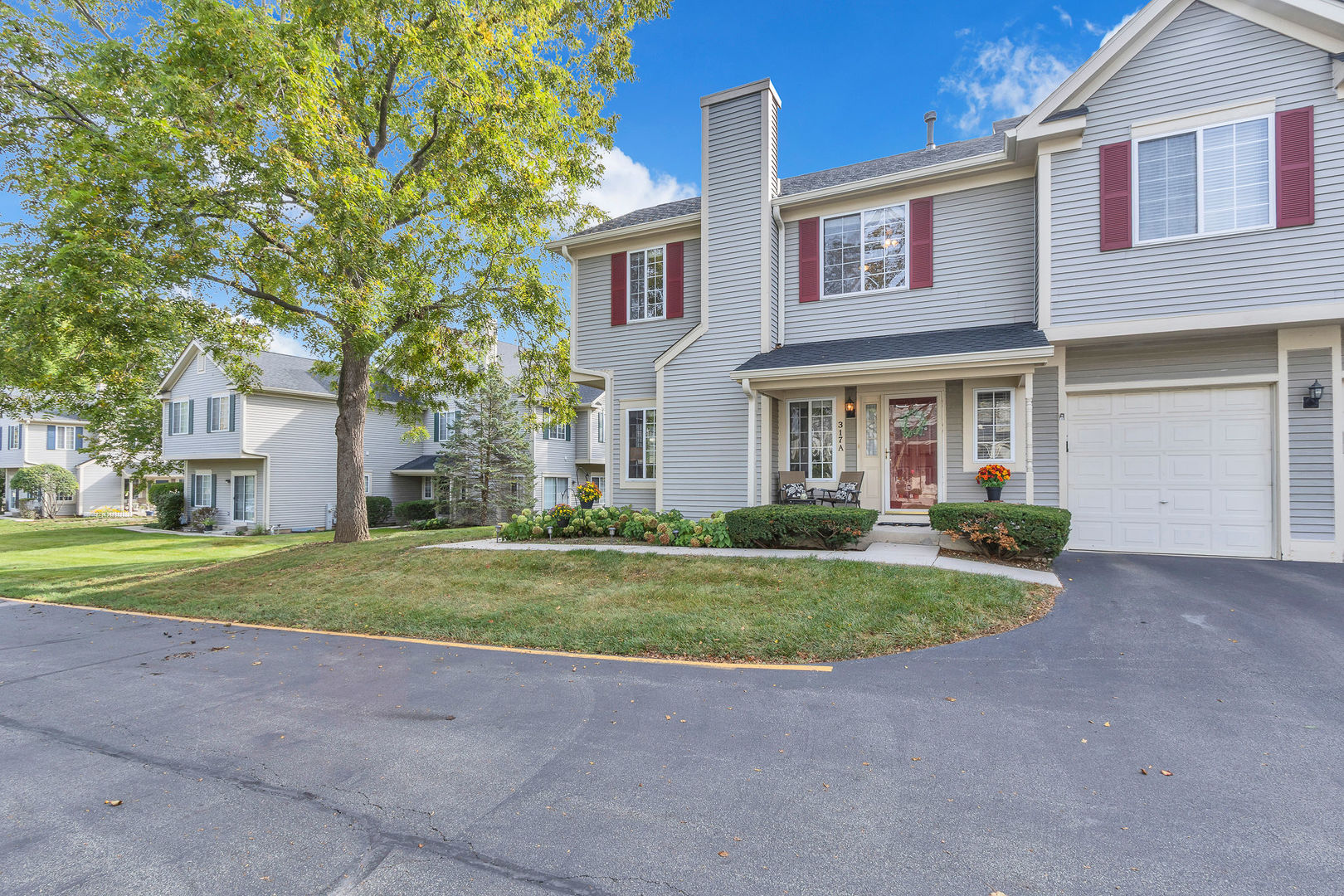 317 Windsor Court Unit A, South Elgin IL 60177