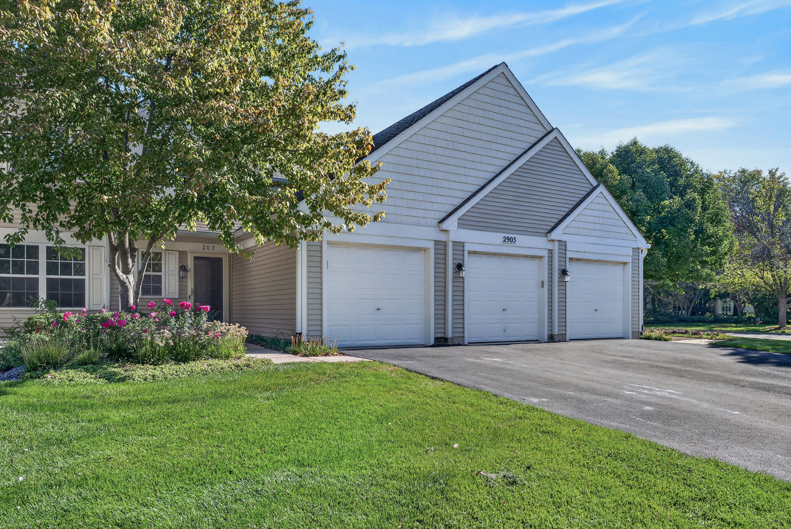 2903 Bartlett Court Unit 202, Naperville IL 60564
