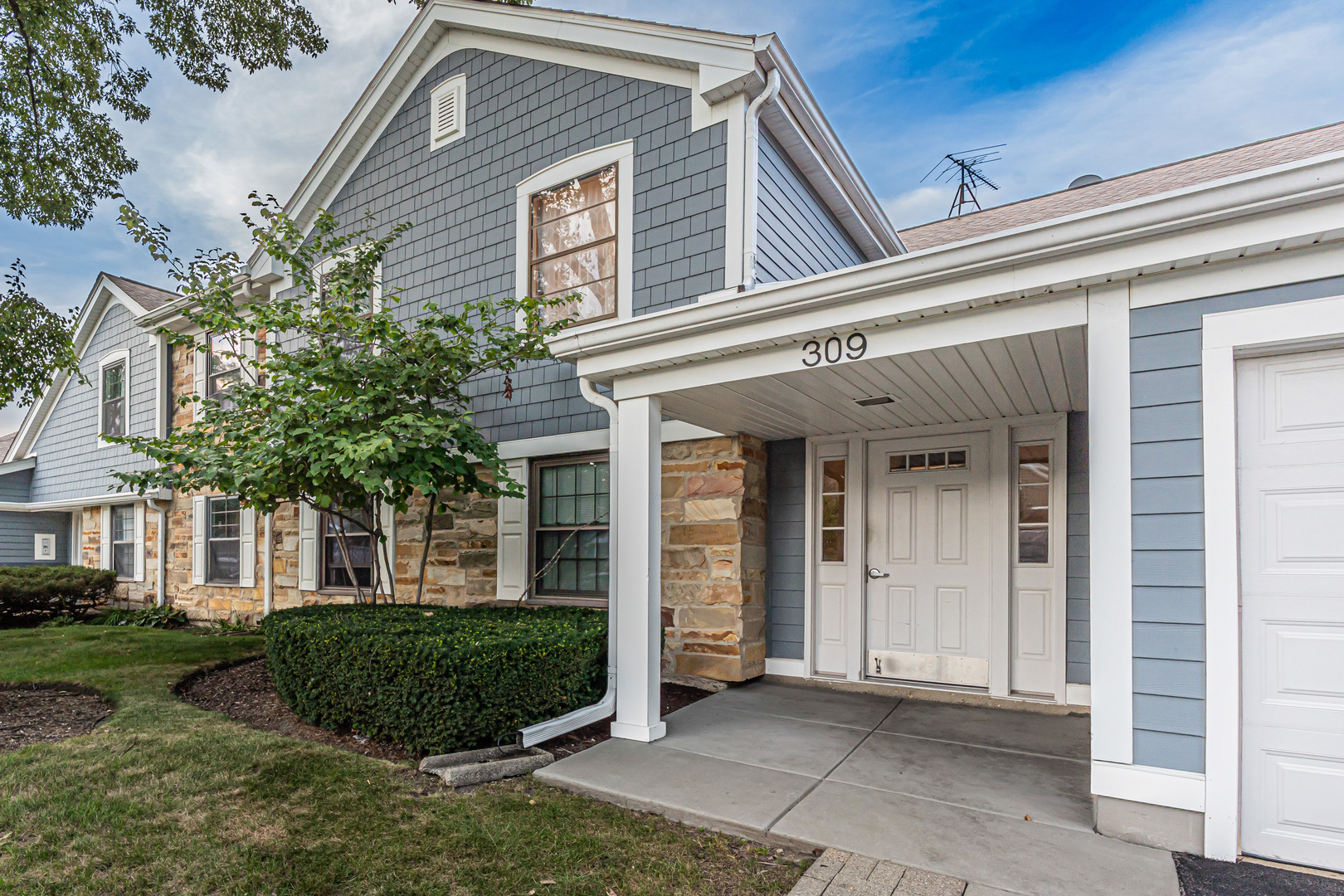 309 Maplewood Court Unit D1, Schaumburg IL 60193