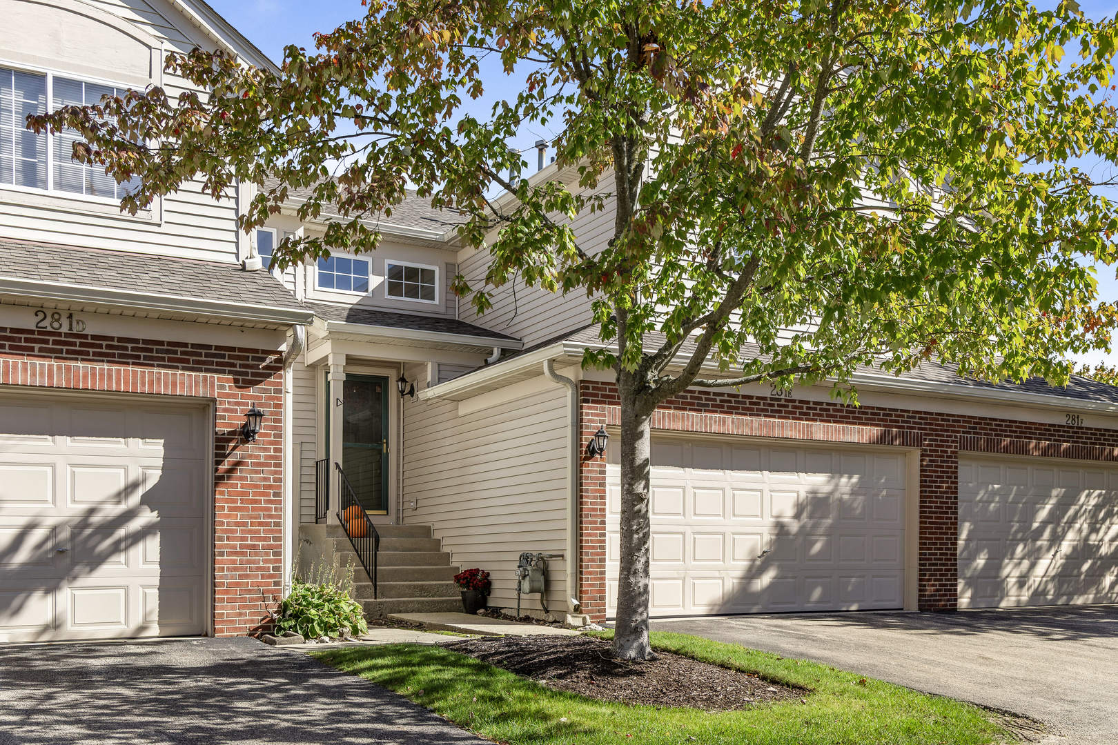 281 Nicole Drive Unit E, South Elgin IL 60177