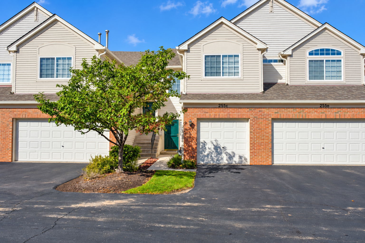 255 Thornwood Way Unit C, South Elgin IL 60177