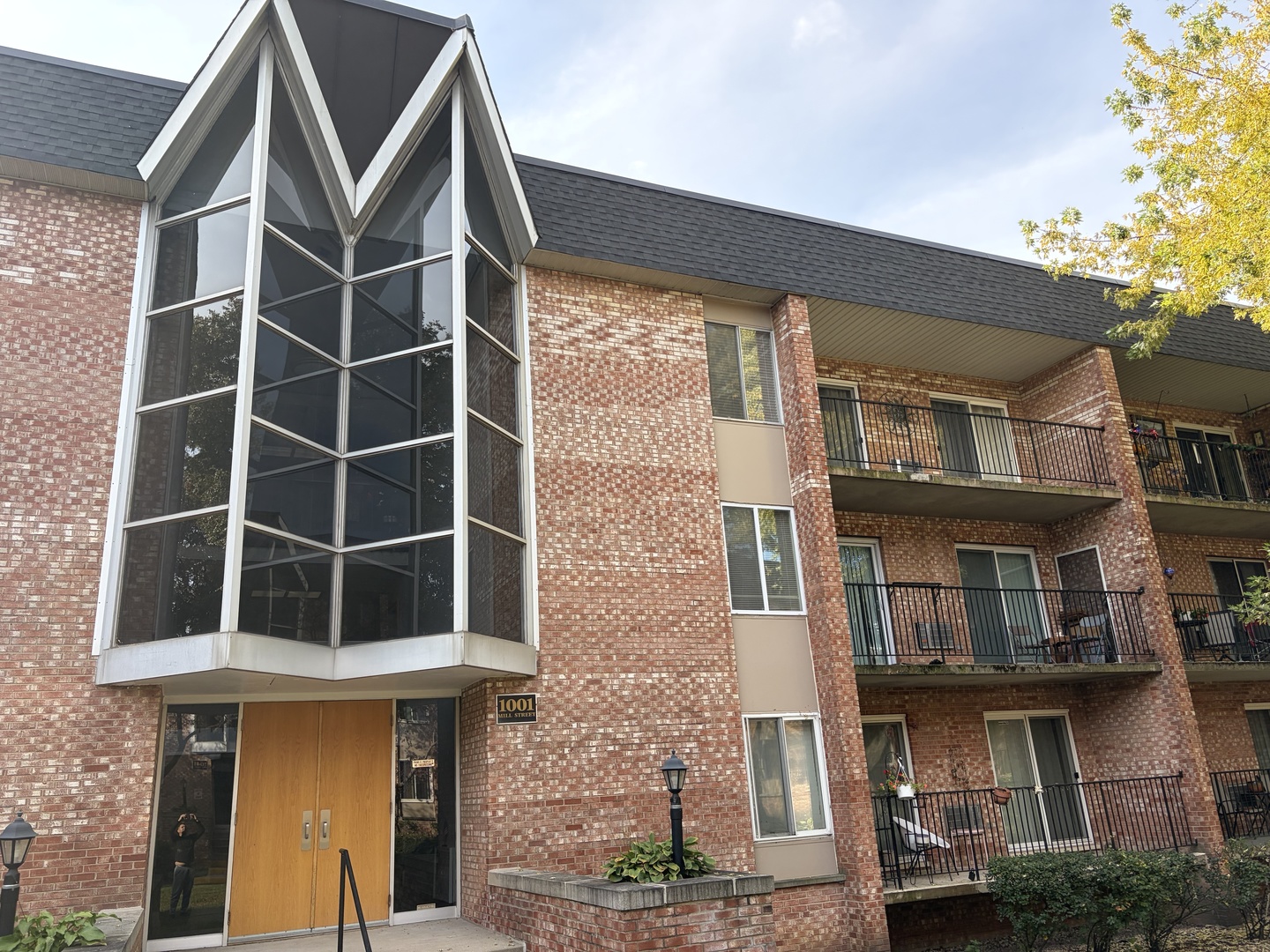 1001 N Mill Street Unit 307, Naperville IL 60563