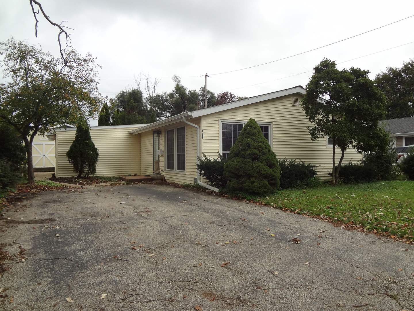 423 Blackhawk Avenue, Carpentersville IL 60110