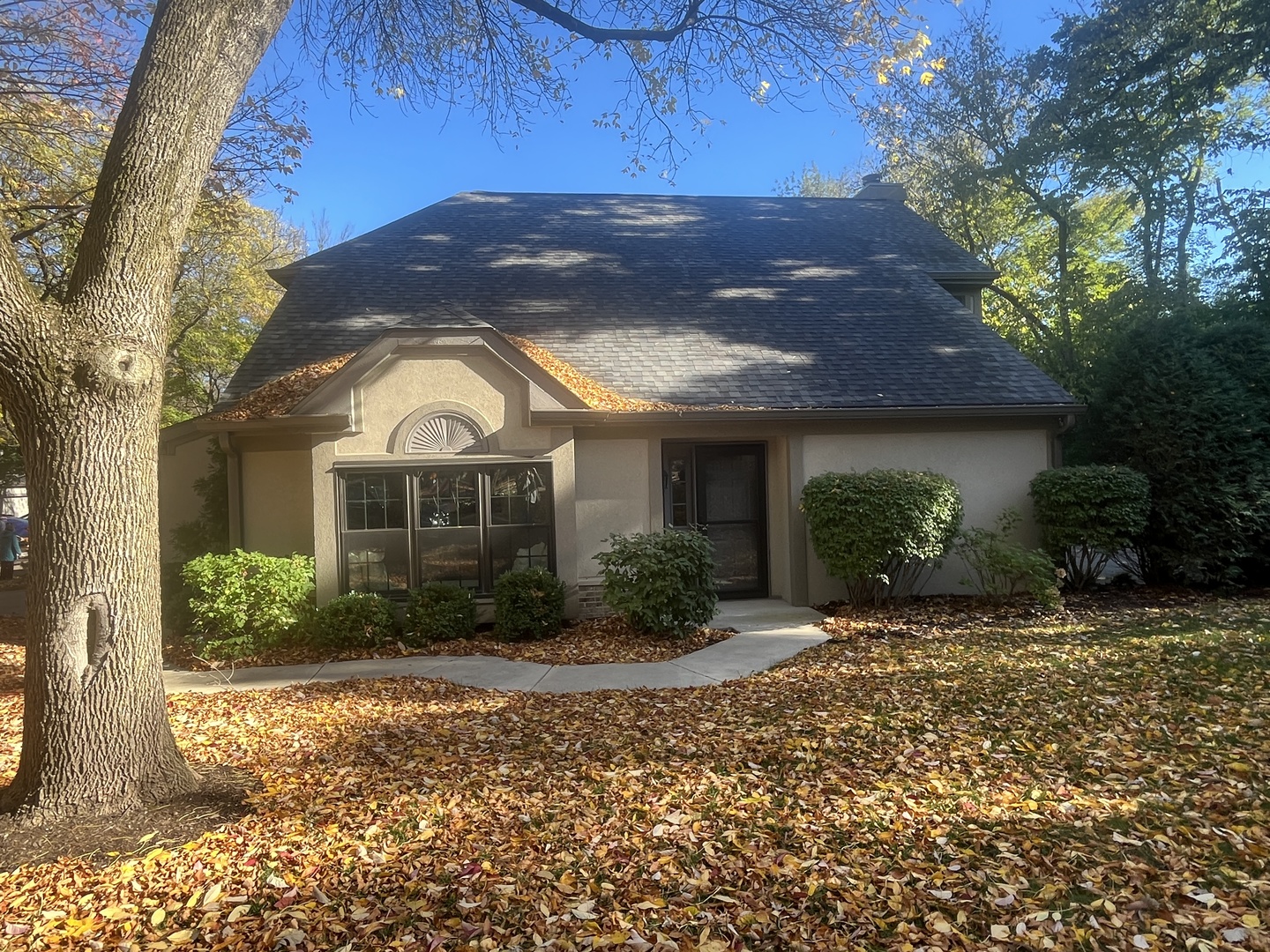 1244 Hobson Oaks Drive, Naperville IL 60540
