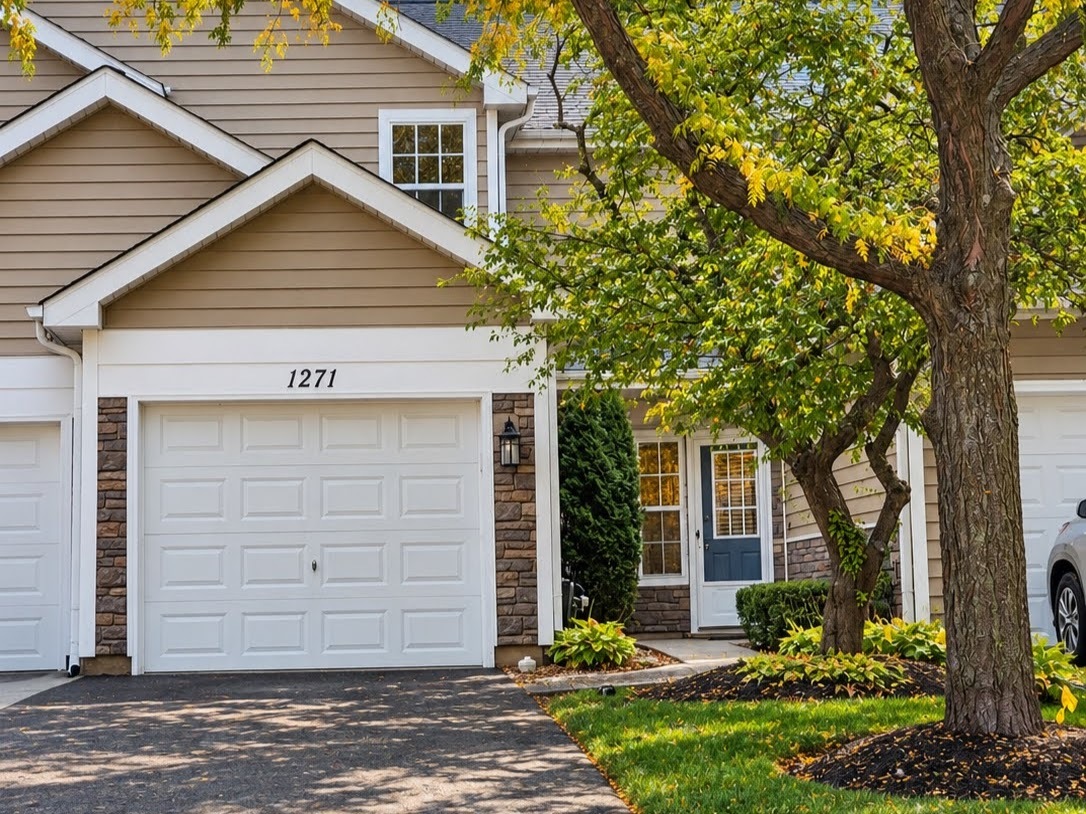 1271 Cranbrook Drive, Schaumburg IL 60193