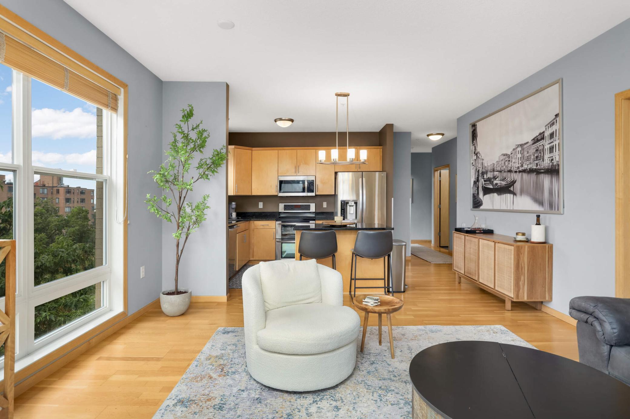301 Oak Grove Street Unit 414, Minneapolis MN 55403