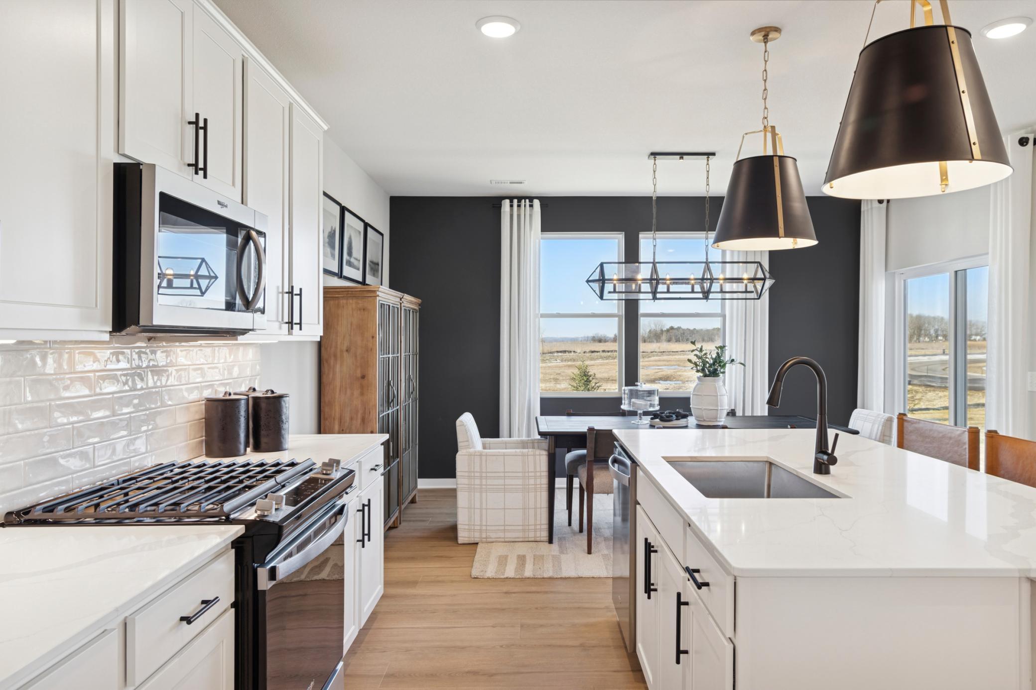 15173 Amber Fields Boulevard, Rosemount MN 55068