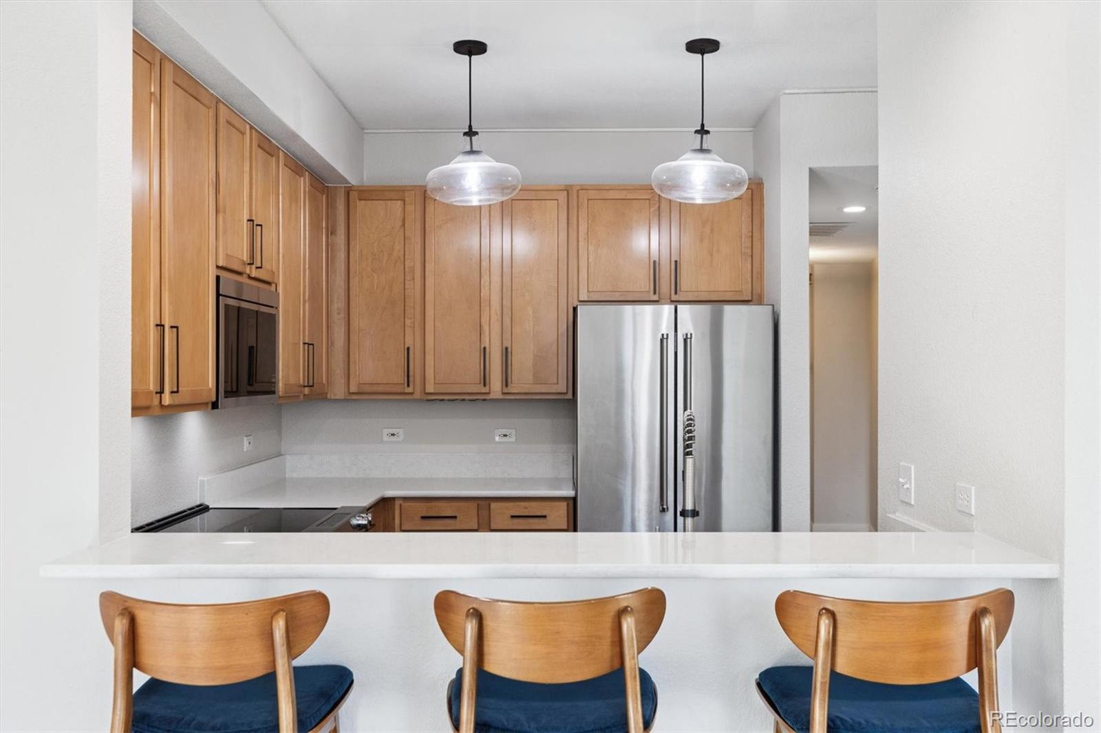 1699 N Downing Street Unit 309, Denver CO 80218