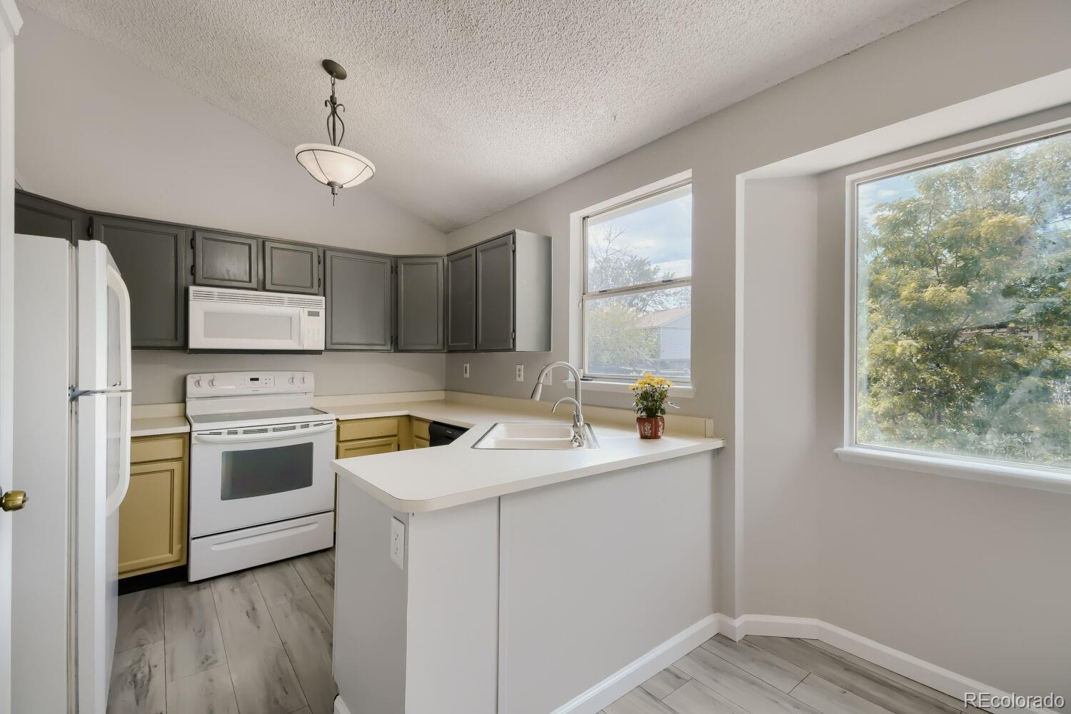 10147 Saint Paul Street, Thornton CO 80229