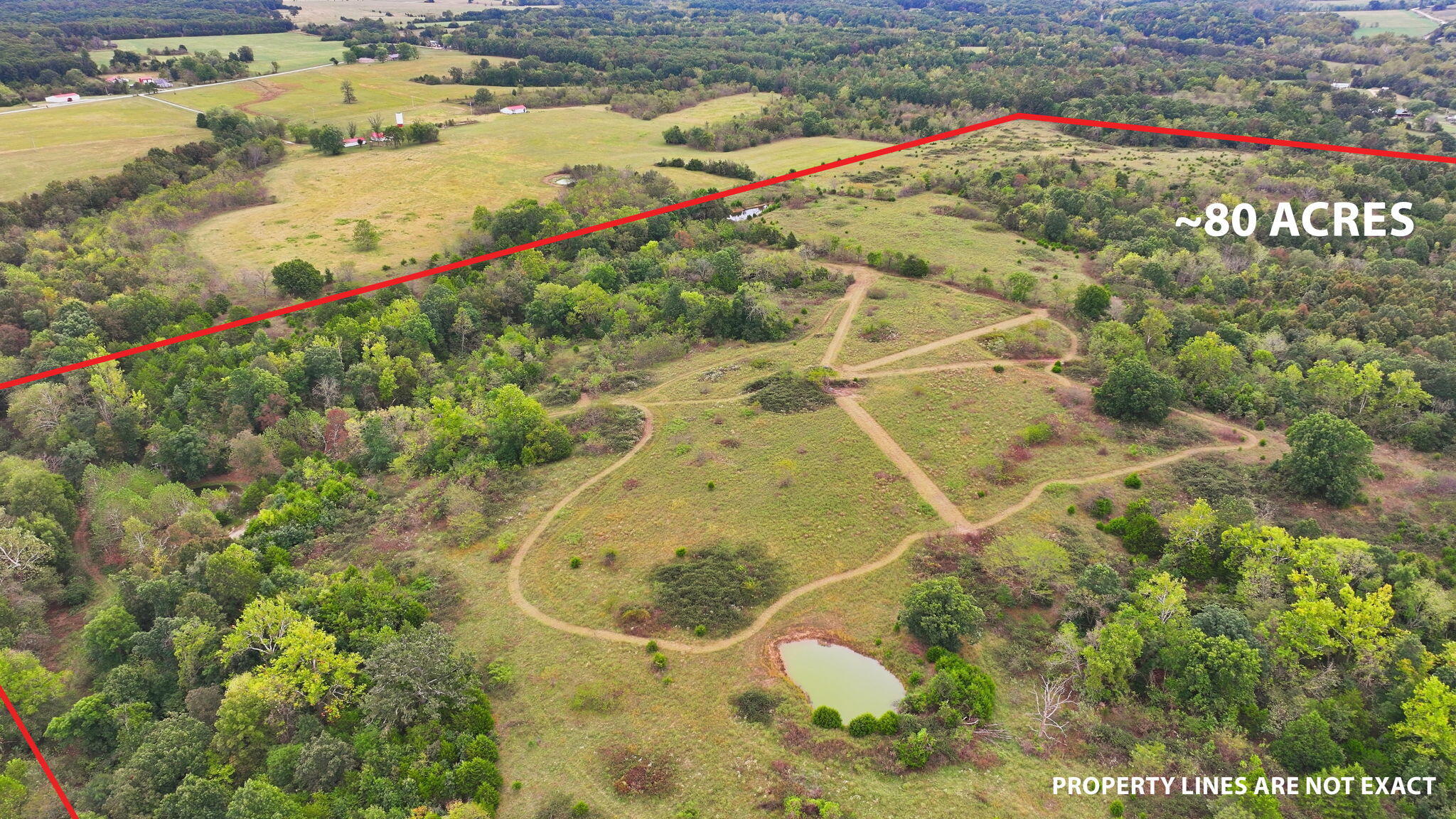 80 Freedom, Marshfield MO 65706